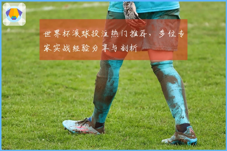 世界杯滚球投注热门推荐，多位专家实战经验分享与剖析
