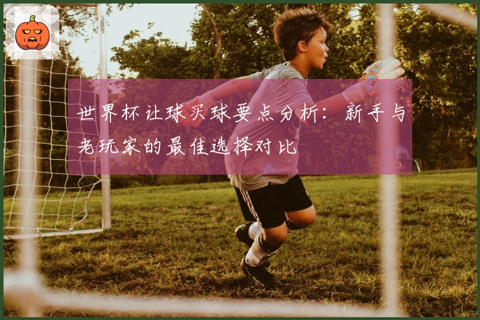 世界杯让球买球要点分析：新手与老玩家的最佳选择对比