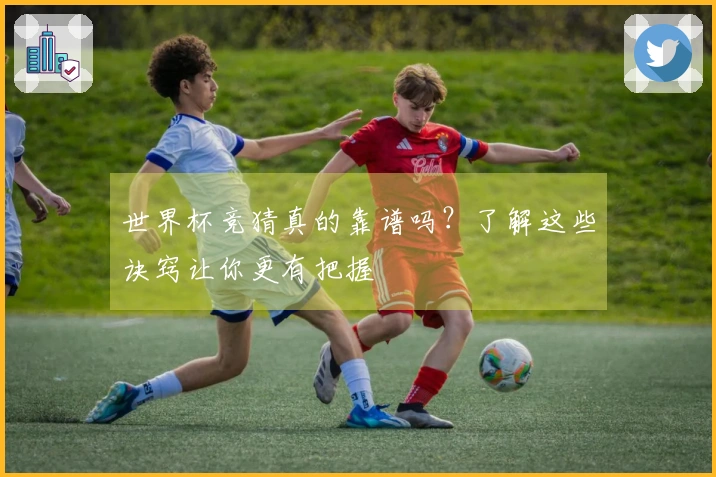 世界杯竞猜真的靠谱吗？了解这些诀窍让你更有把握