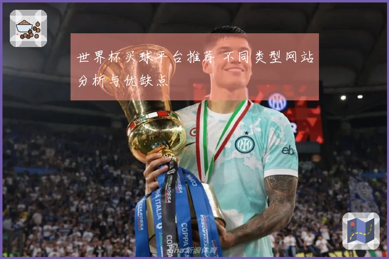 世界杯买球平台推荐 不同类型网站分析与优缺点