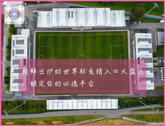 新鲜出炉的世界杯竞猜入口大盘点，锁定你的必选平台