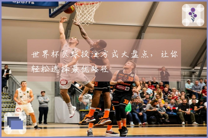 世界杯买球投注方式大盘点，让你轻松选择最优路径
