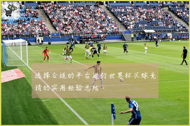 选择合适的平台进行世界杯买球竞猜的实用经验总结