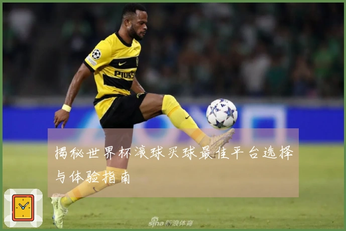揭秘世界杯滚球买球最佳平台选择与体验指南