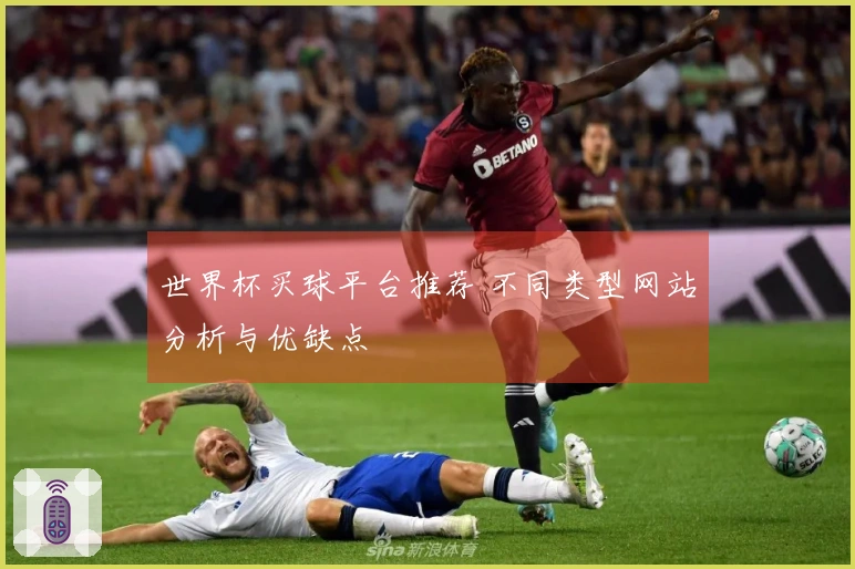 世界杯买球平台推荐 不同类型网站分析与优缺点